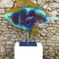 Poisson